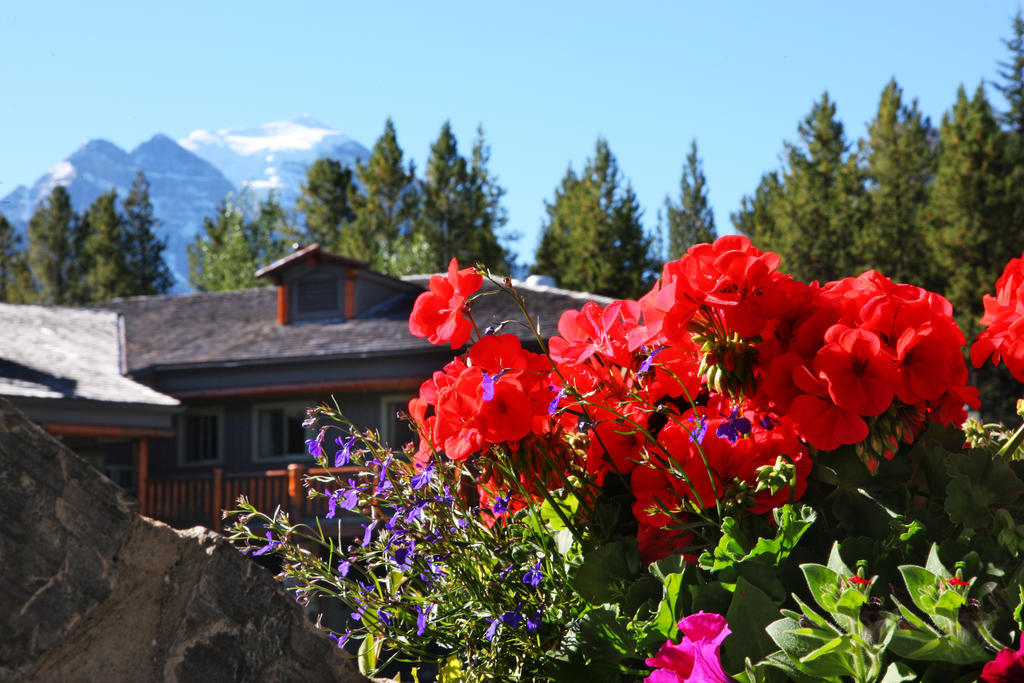 Mountaineer Lodge Lake Louise Εξωτερικό φωτογραφία